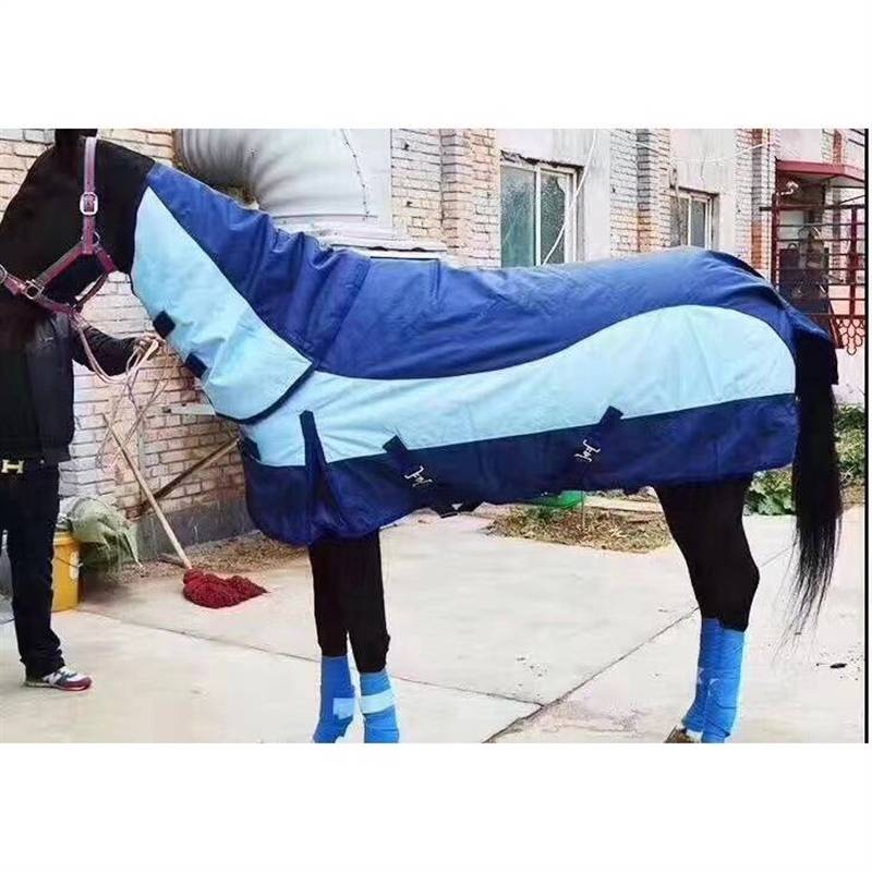 Blue 125